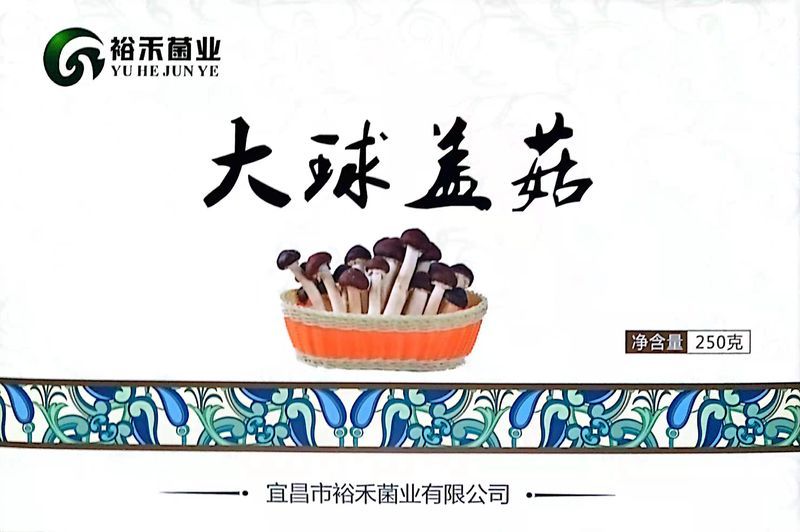 大球蓋菇禮盒.jpg