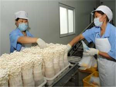 2014年我國食(藥)用菌出口再創(chuàng)新高
